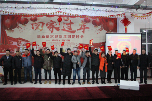 喜迎新春——暨阜新南宫28NG相信2019除夕烟花晚会(图4)
